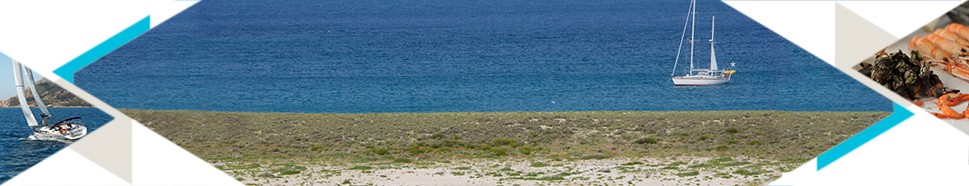 Turismo de Vigo