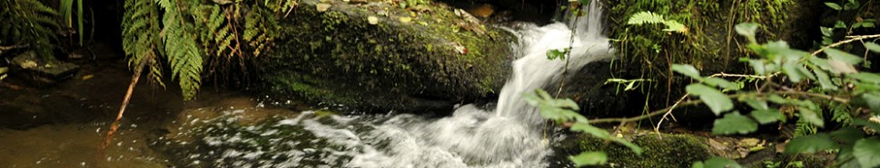 Turismo de Vigo