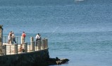 Turismo de Vigo