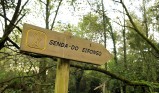 Turismo de Vigo