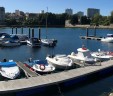 Turismo de Vigo