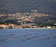 Turismo de Vigo