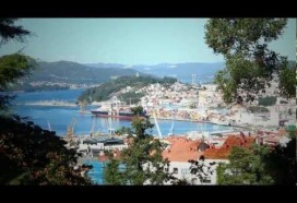 Vigo, the experience