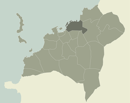 Vigo Barrios